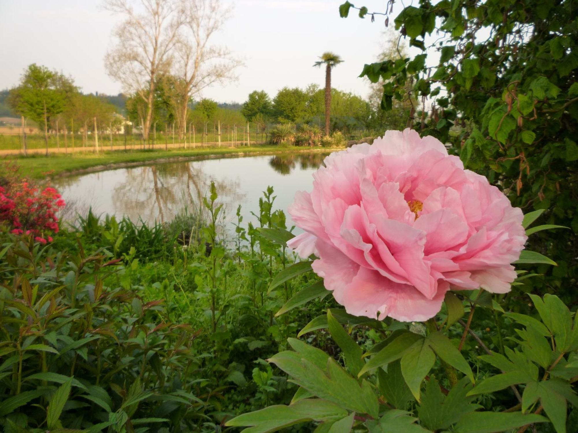 Country House Barone D'Asolo Kültér fotó