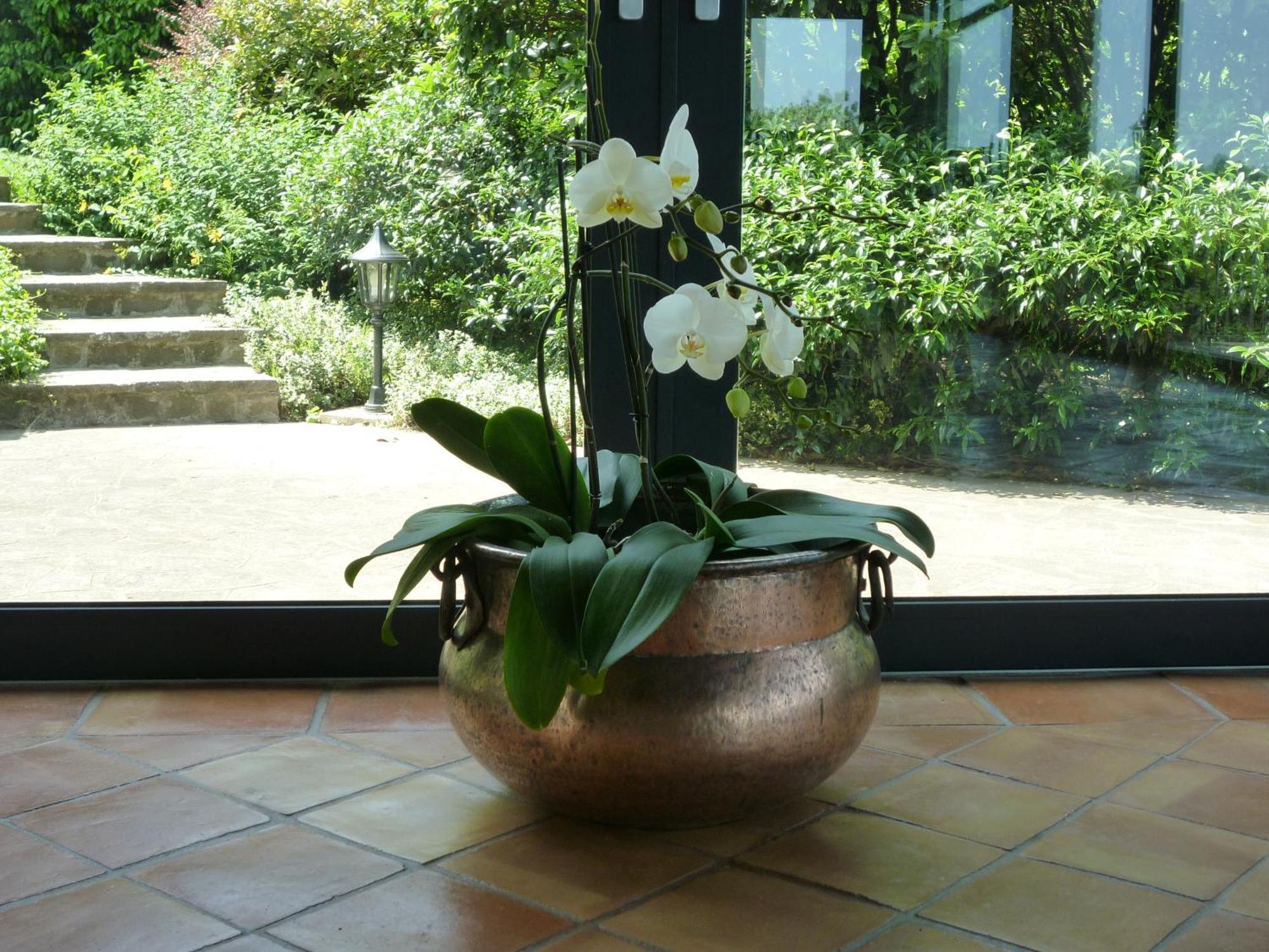 Country House Barone D'Asolo Kültér fotó